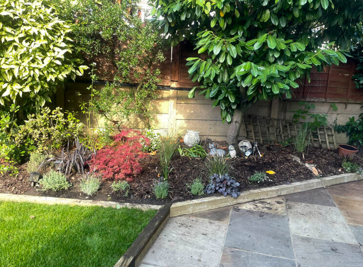 Planting 1