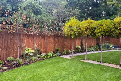 year-round garden structure