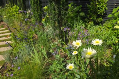 seasonal gardening Kent