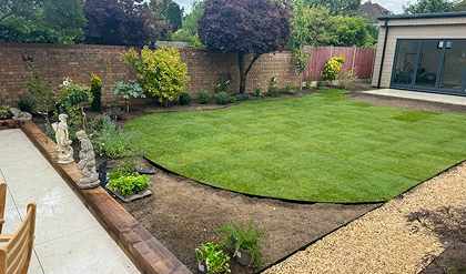 new grass 2