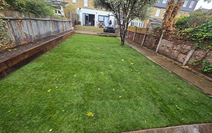 garden-design-silvatree-1