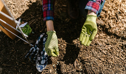 garden maintenance